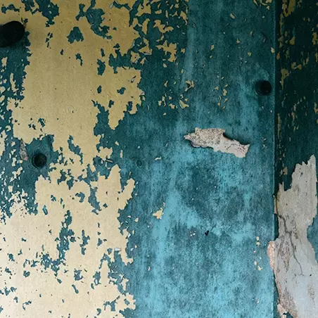 Water damaged wall